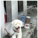 삼선고택 이미지