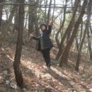 소나무PC 네이버블로그