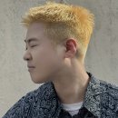 리포엘헤어