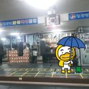 김정범파워복싱클럽 이미지
