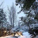 매산주유소 이미지