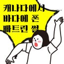 바다에걸린별 | #4 캐나다에서 바다에 폰 빠트린 썰 (아이폰)