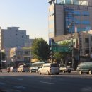 사랑나무한의원 이미지