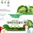단디푸드