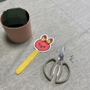 봉봉이네 농장 | 봉봉이네 가족농원에서 아이들과 미니 꽃바구니 만들기!