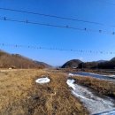 삼용1리 이미지