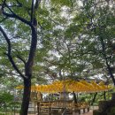 신기천축사 이미지