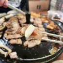 풍년생고기 이미지