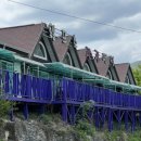 알프스관광펜션 이미지