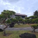 더숲펜션 이미지