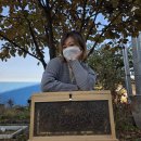 병은농장 | 자연·교육·힐링이 모두 있는 청주 체험농장, 해밀당 꿀벌 체험 후기