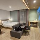 하운드 동촌유원지 이미지