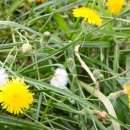 운양생태공원 이미지