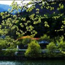 현천마을 이미지