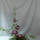 Korean Flower Arrangement - KOKOJI 이미지