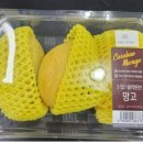 주식회사 의연 이미지