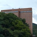 유메르 신상 가방 호보백 신라호텔 팝업 후 7/6 메르레브 엑스더리그 공개!