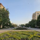 가로수길 이미지