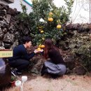 낭안트레 민박 이미지