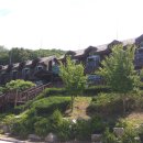 강화군 석모도자연휴양림 이미지