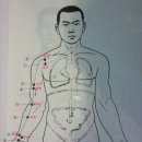 유미테라피 네이버블로그