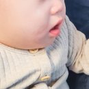 아기 침독크림 오이보스 아기보습크림 추천