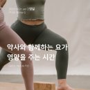 씨드요가 이미지