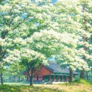 예술공장 승승 | 5월 꽃구경 나들이 추천! 전국 이팝나무 명소 베스트 4 (경주, 밀양, 대전, 전주)