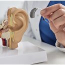 광명 현대보청기 이미지