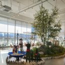 피트앤브레드 - 강남구 강남대로 256 | 피트앤브레드