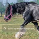 gc-camera-048 이미지