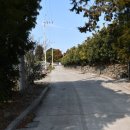 제주공천포전지훈련센터 야구장 이미지