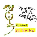 삼성 태권도장 이미지