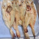 갤러리 코랄 리프 커피 다이닝코드