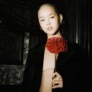 코코나 카카오 검색결과