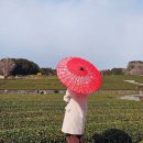 EG투어버스 L코스 | 도쿄 후지산 투어 당일치기 도쿄근교여행 추천 코스 및 후기