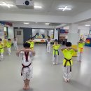 국가대표영웅태권도 이미지