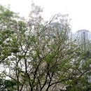 한국폴리텍 I 대학 제주캠퍼스 이미지