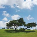 화랑목장 이미지