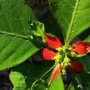 오너랭귀지 이미지