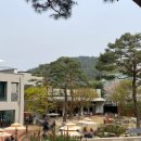 장곡로226번길 (동암중학교 주변 노상) | [의정부 카페 추천] 모드닉 ♣ 정원이 아름다운 장암동 대형 카페!