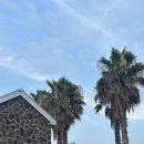 느긋하귀 이미지