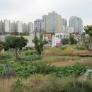 분당-319 이미지