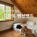 펜션밴드 | 강화도 펜션 예약 수영장 펜션밴드 아이와 숙박 후기