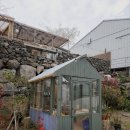 샤인히얼60 | 샤인히얼60, 제주도 애월 독채 가족 한달살이 펜션 추천 후기