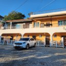 일곱번째 고양이 펜션 | 태안 안면도 펜션 가성비 좋고 조용한 일곱번째고양이 펜션 내돈내산