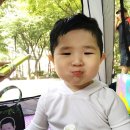 문래힐스테이트 옆 서울무료물놀이장 목화마을마당