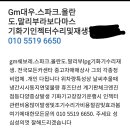 gm.스파크올란도말리부라보다마스lpg.기화기인젝터수리및재생관련정보 이미지