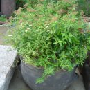 아름다운유치원 이미지