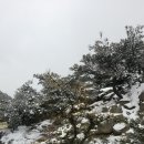 용봉산자연휴양림 이미지